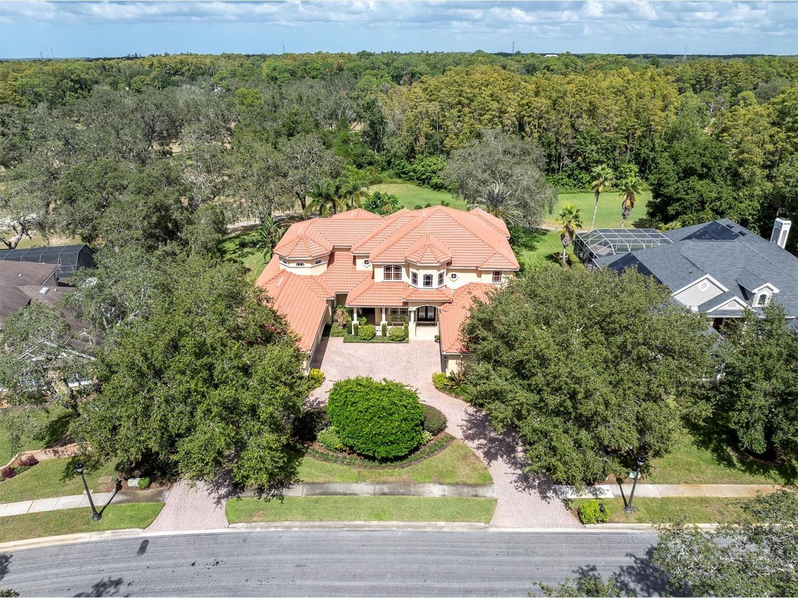 2861 Roehampton Close Tarpon Springs FL 34688 W7879852 image70