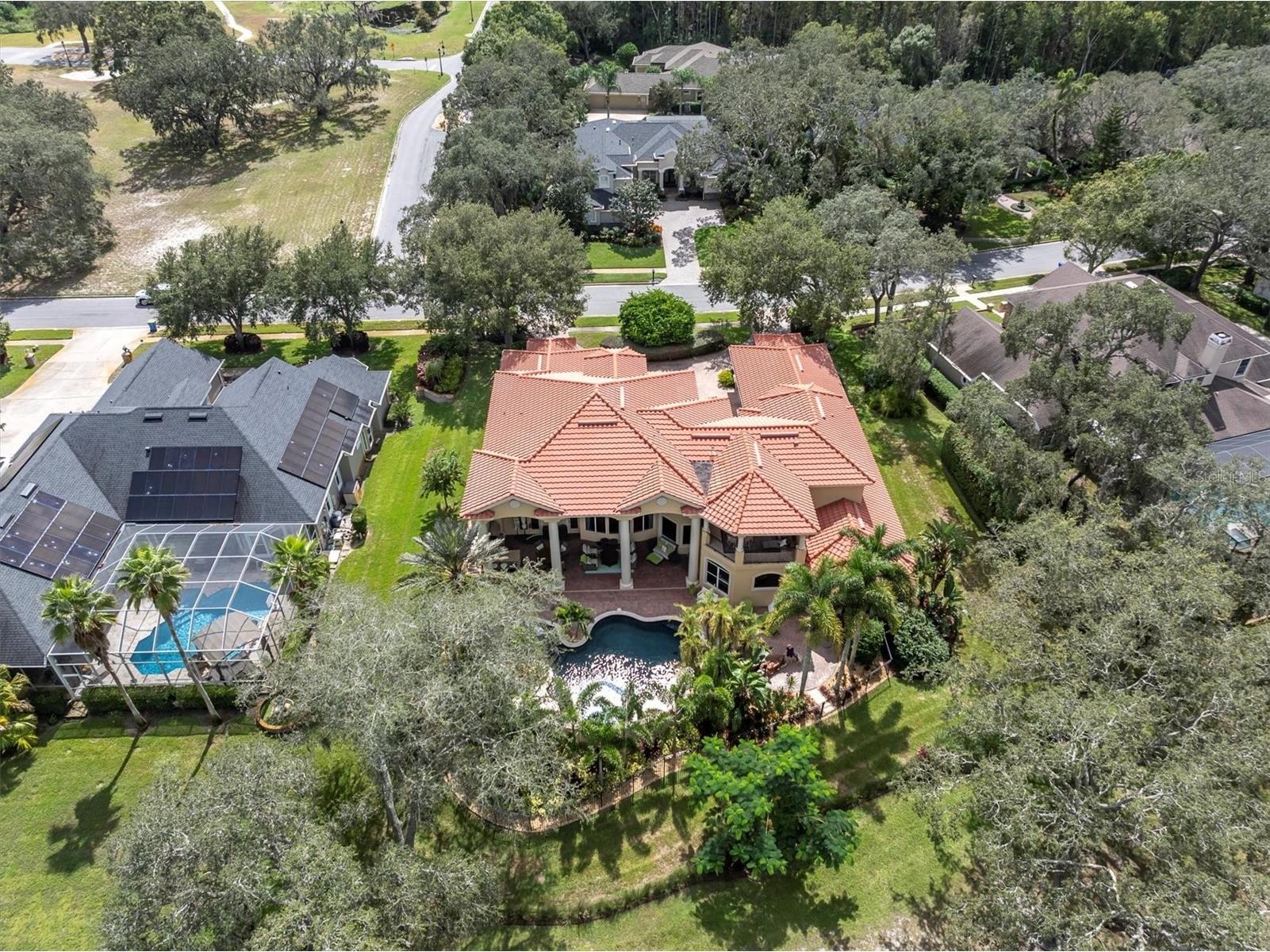 2861 Roehampton Close Tarpon Springs FL 34688 W7879852 image75