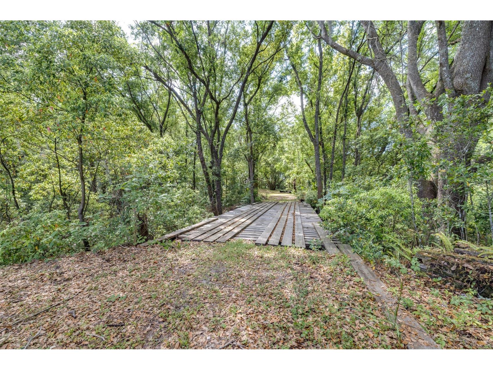 28616 Tupper Road Wesley Chapel FL 33545 TB8493943 image1