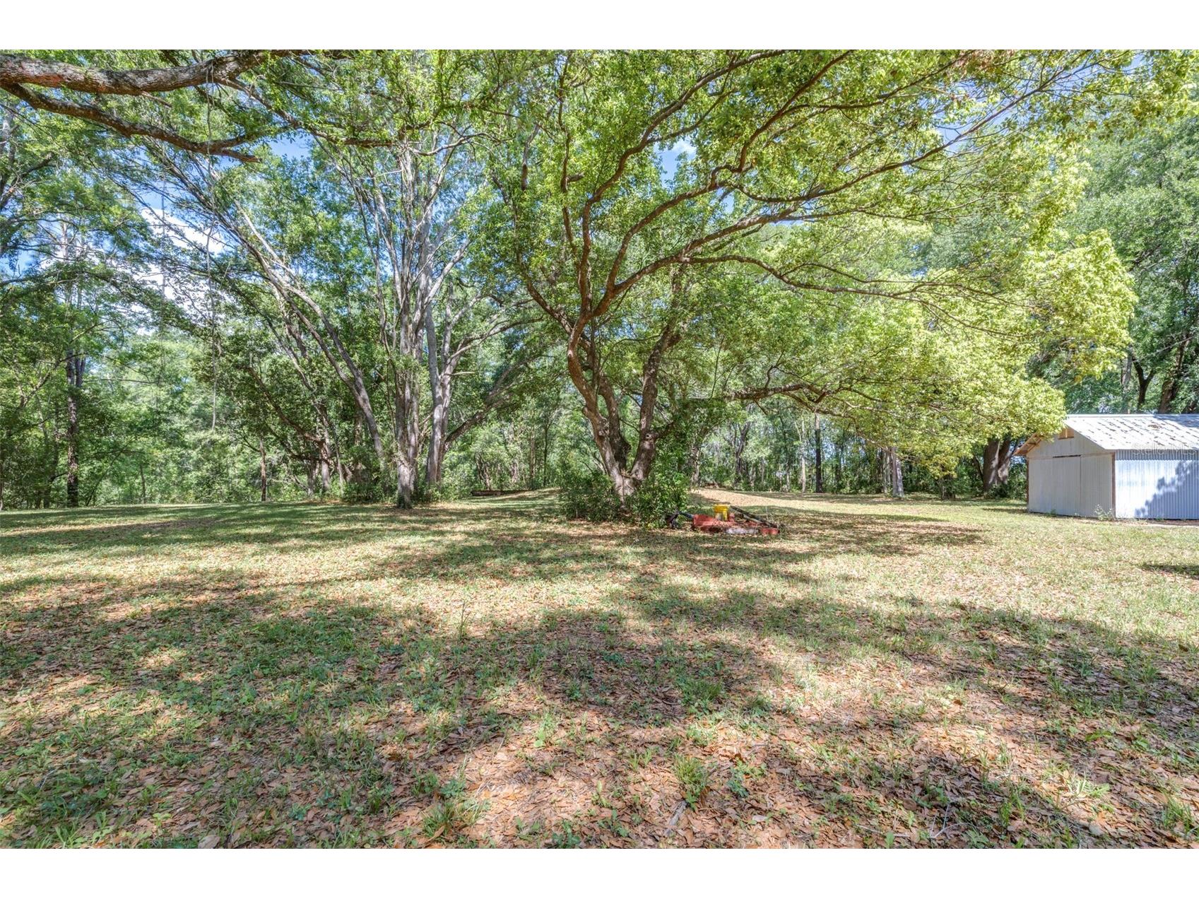 28616 Tupper Road Wesley Chapel FL 33545 TB8493943 image11