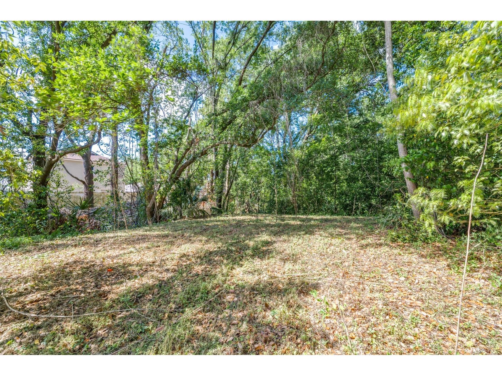 28616 Tupper Road Wesley Chapel FL 33545 TB8493943 image14