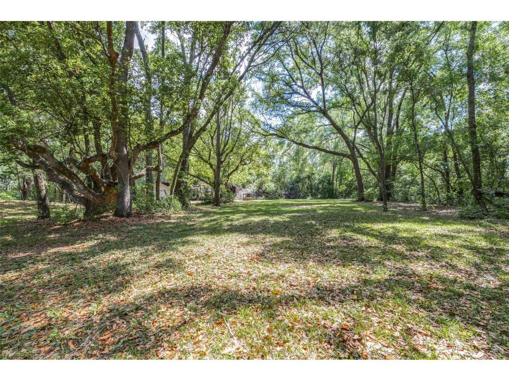 28616 Tupper Road Wesley Chapel FL 33545 TB8493943 image15