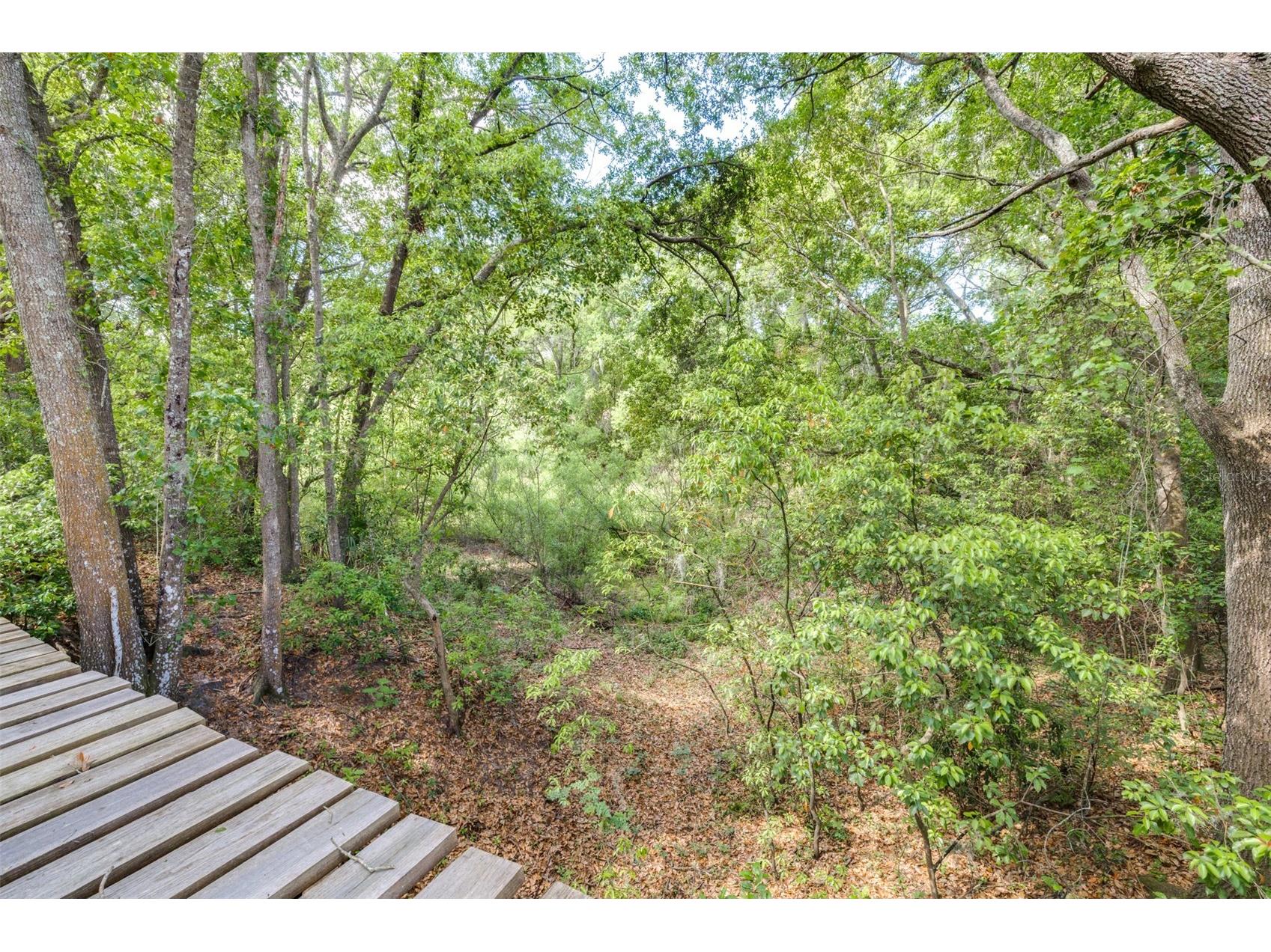 28616 Tupper Road Wesley Chapel FL 33545 TB8493943 image17