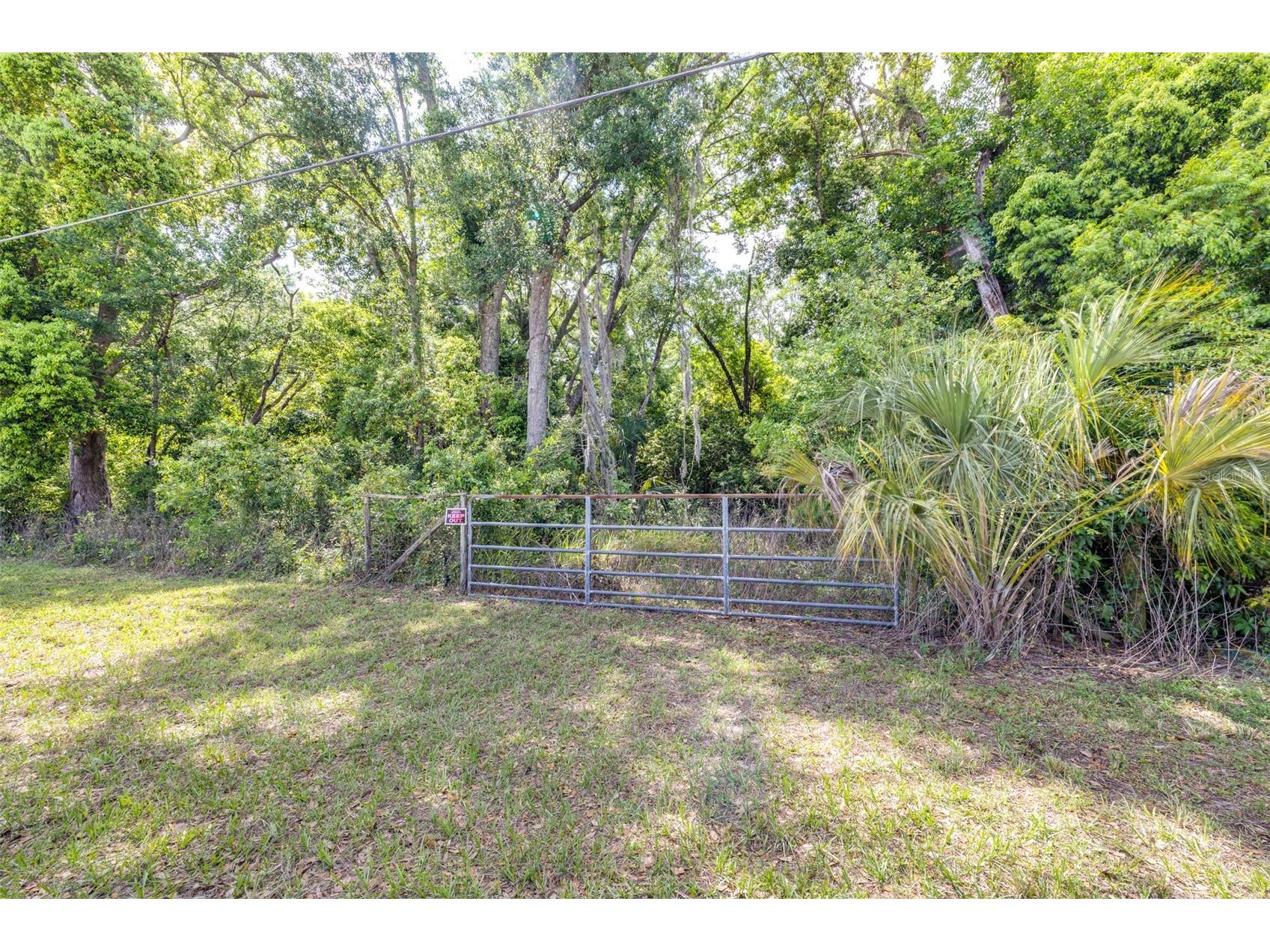 28616 Tupper Road Wesley Chapel FL 33545 TB8493943 image18