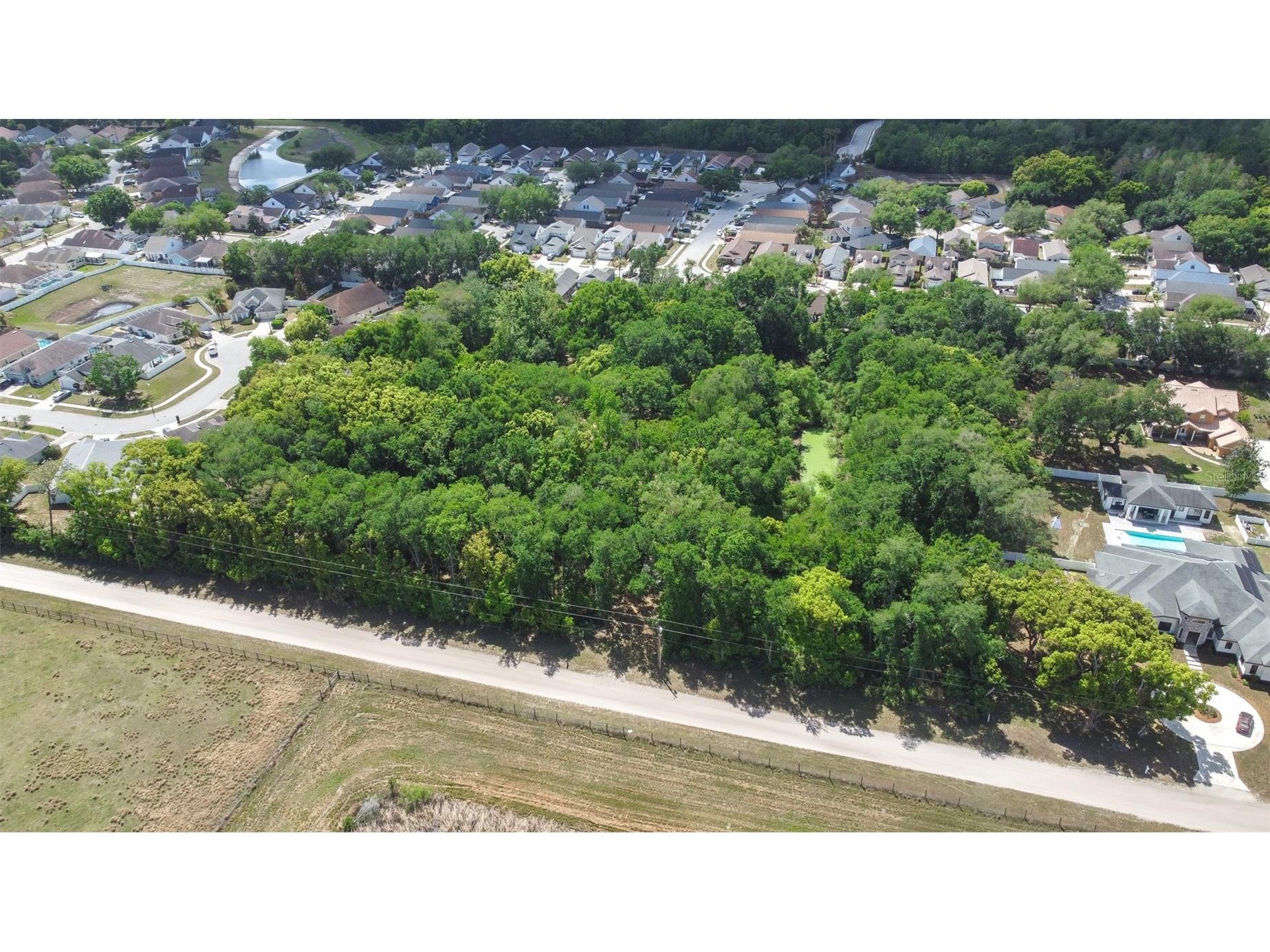 28616 Tupper Road Wesley Chapel FL 33545 TB8493943 image19