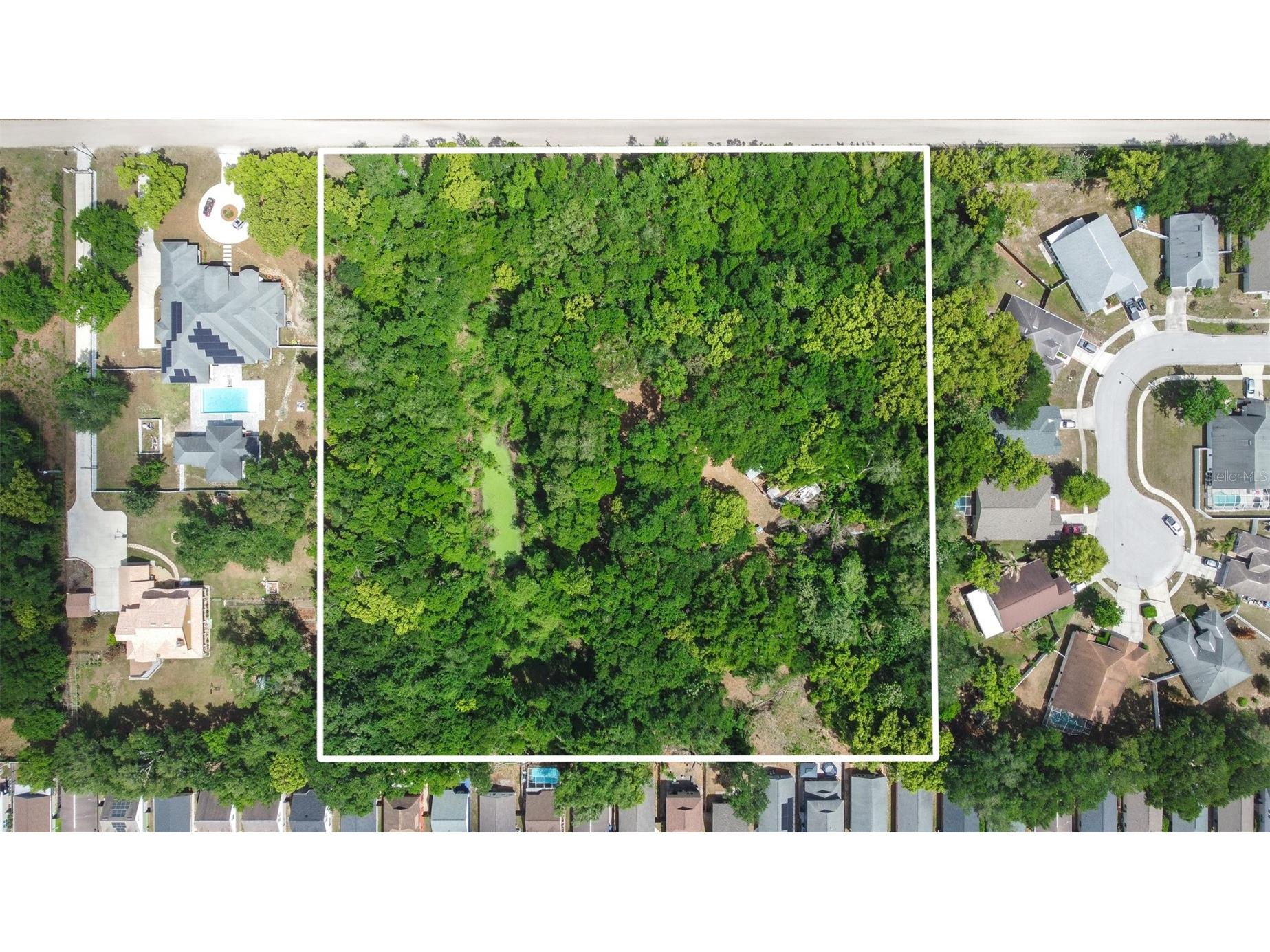 28616 Tupper Road Wesley Chapel FL 33545 TB8493943 image2