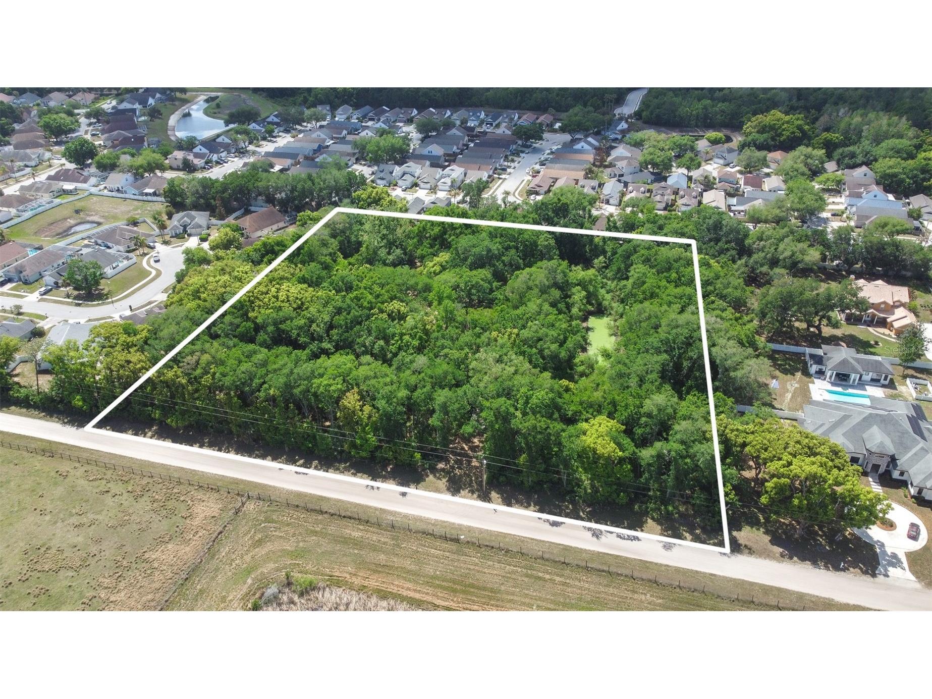 28616 Tupper Road Wesley Chapel FL 33545 TB8493943 image20