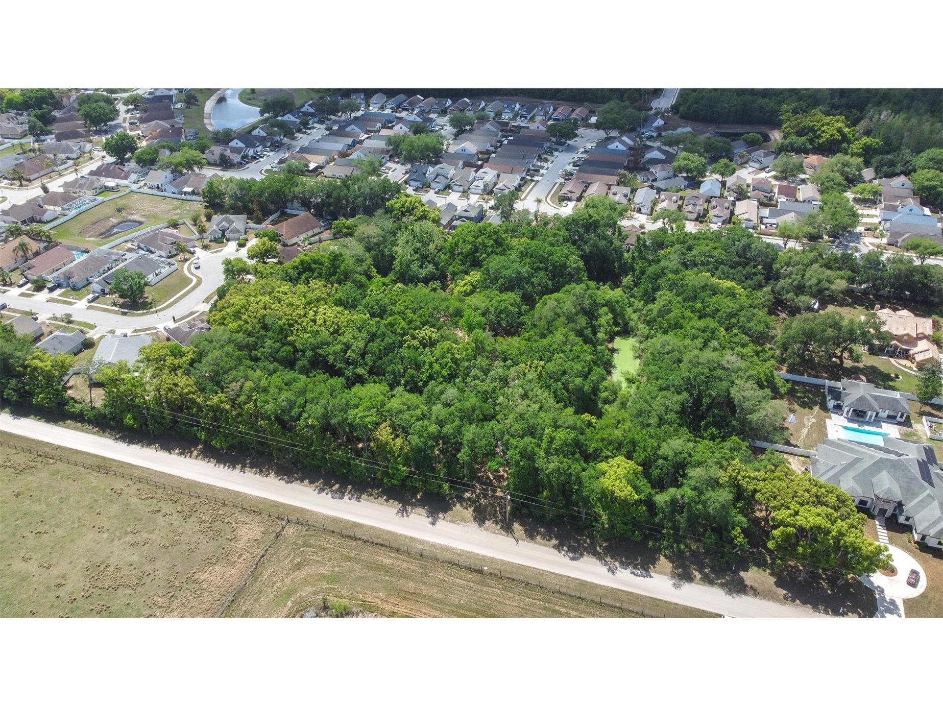 28616 Tupper Road Wesley Chapel FL 33545 TB8493943 image21