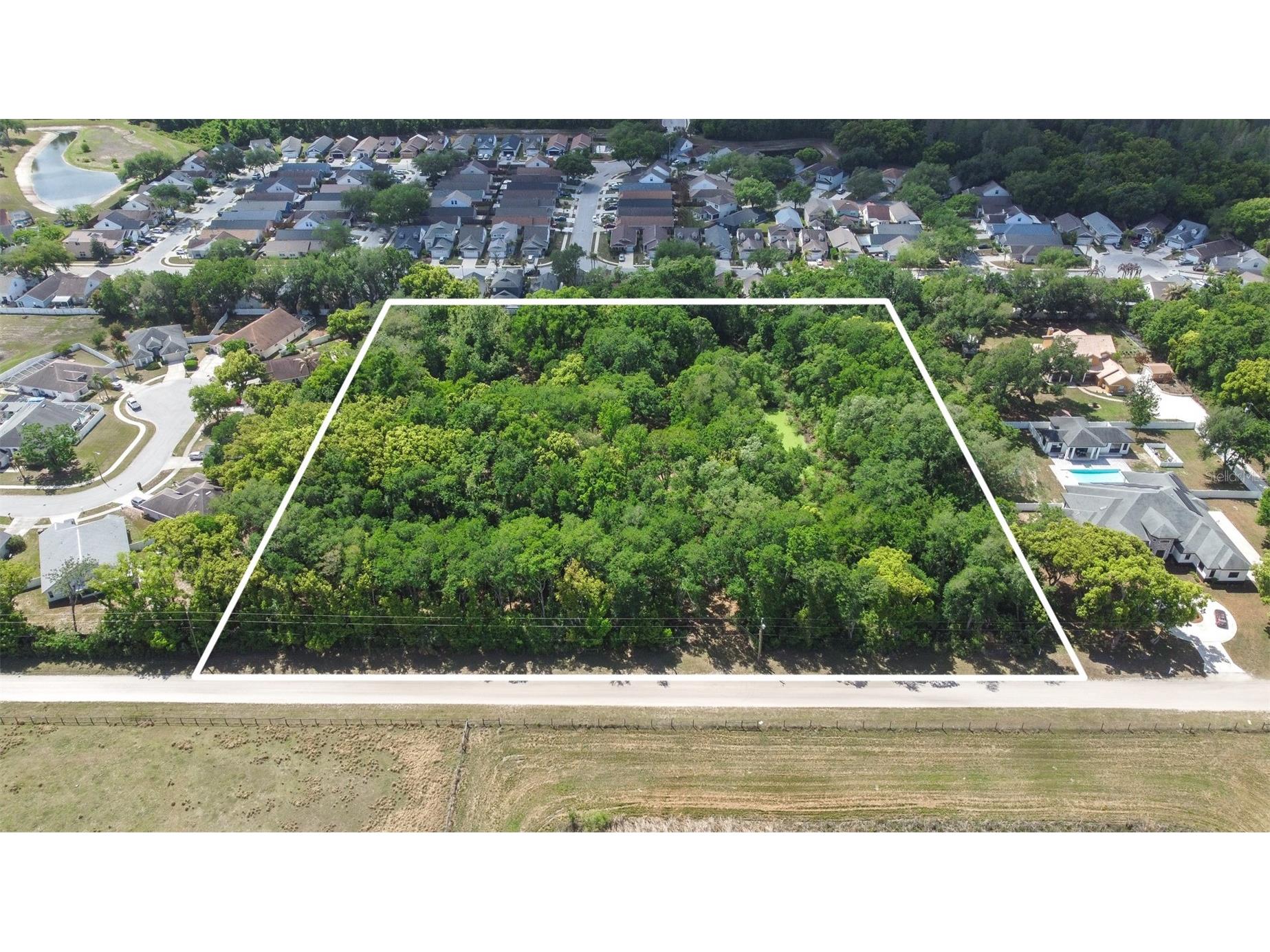 28616 Tupper Road Wesley Chapel FL 33545 TB8493943 image22