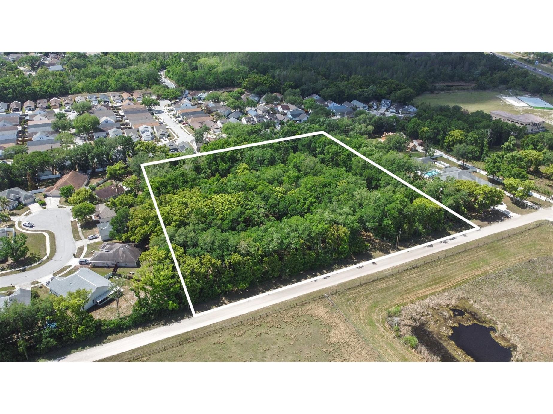28616 Tupper Road Wesley Chapel FL 33545 TB8493943 image23