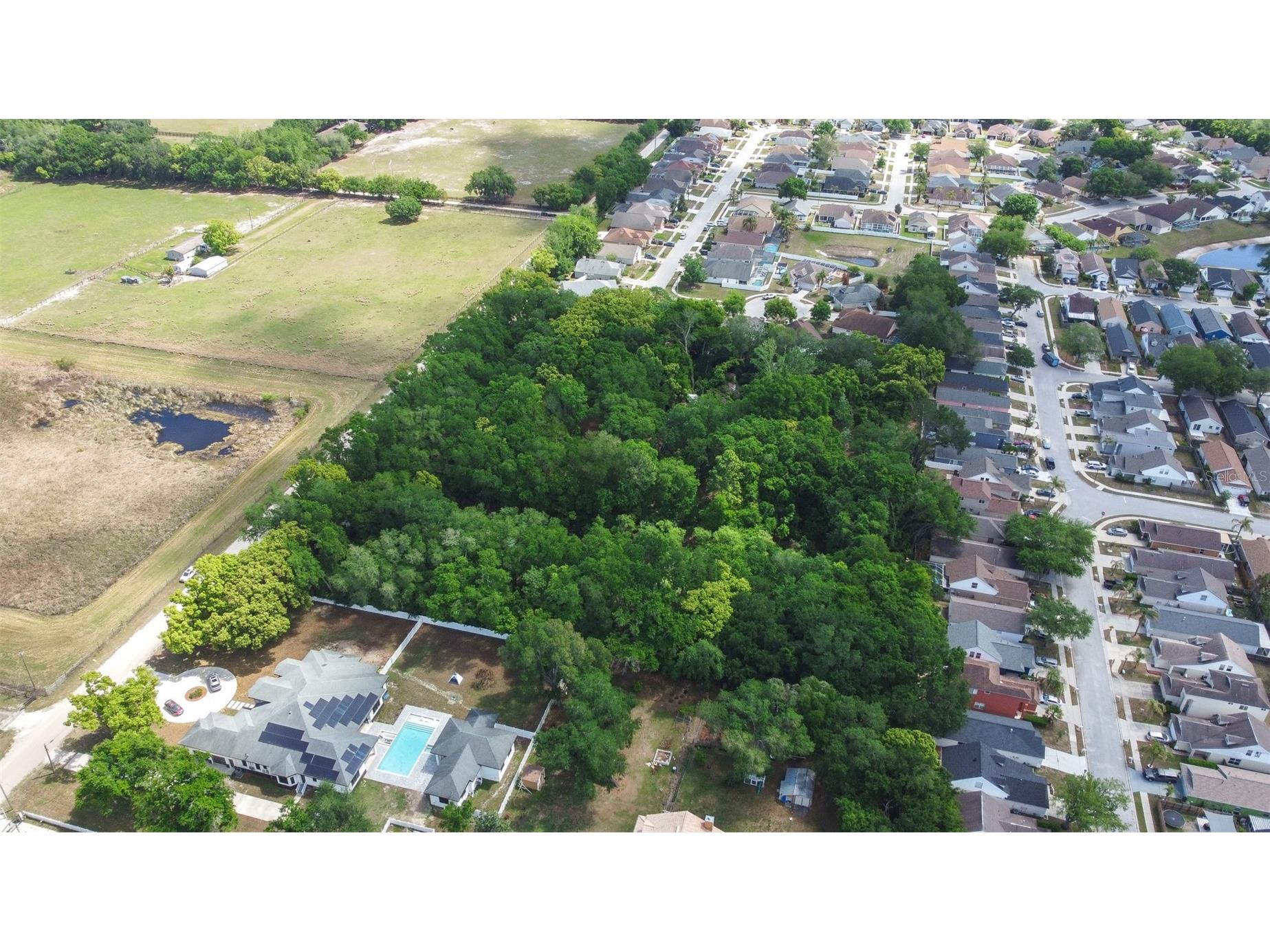 28616 Tupper Road Wesley Chapel FL 33545 TB8493943 image25