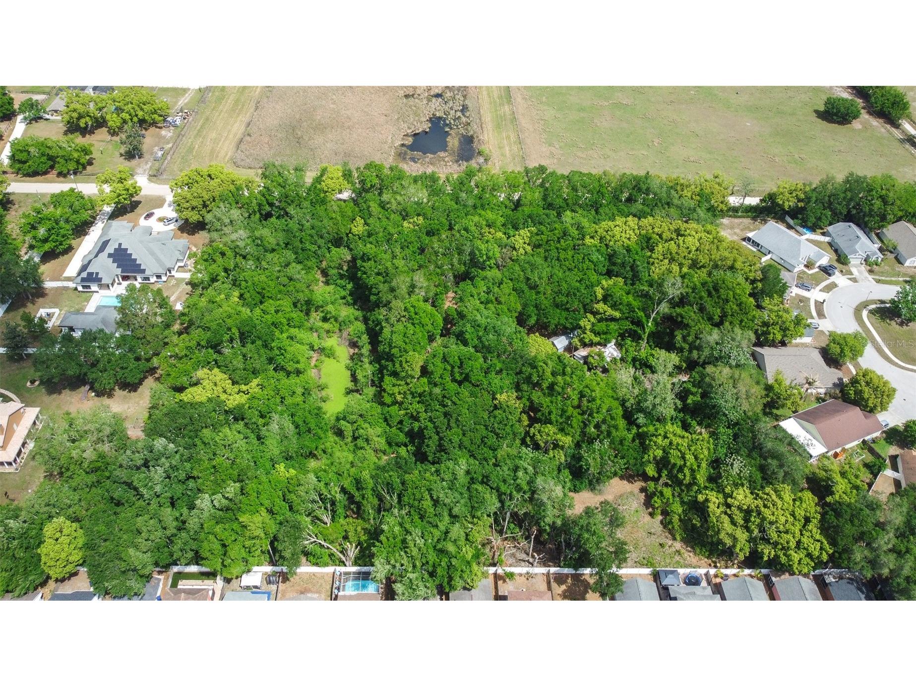 28616 Tupper Road Wesley Chapel FL 33545 TB8493943 image26