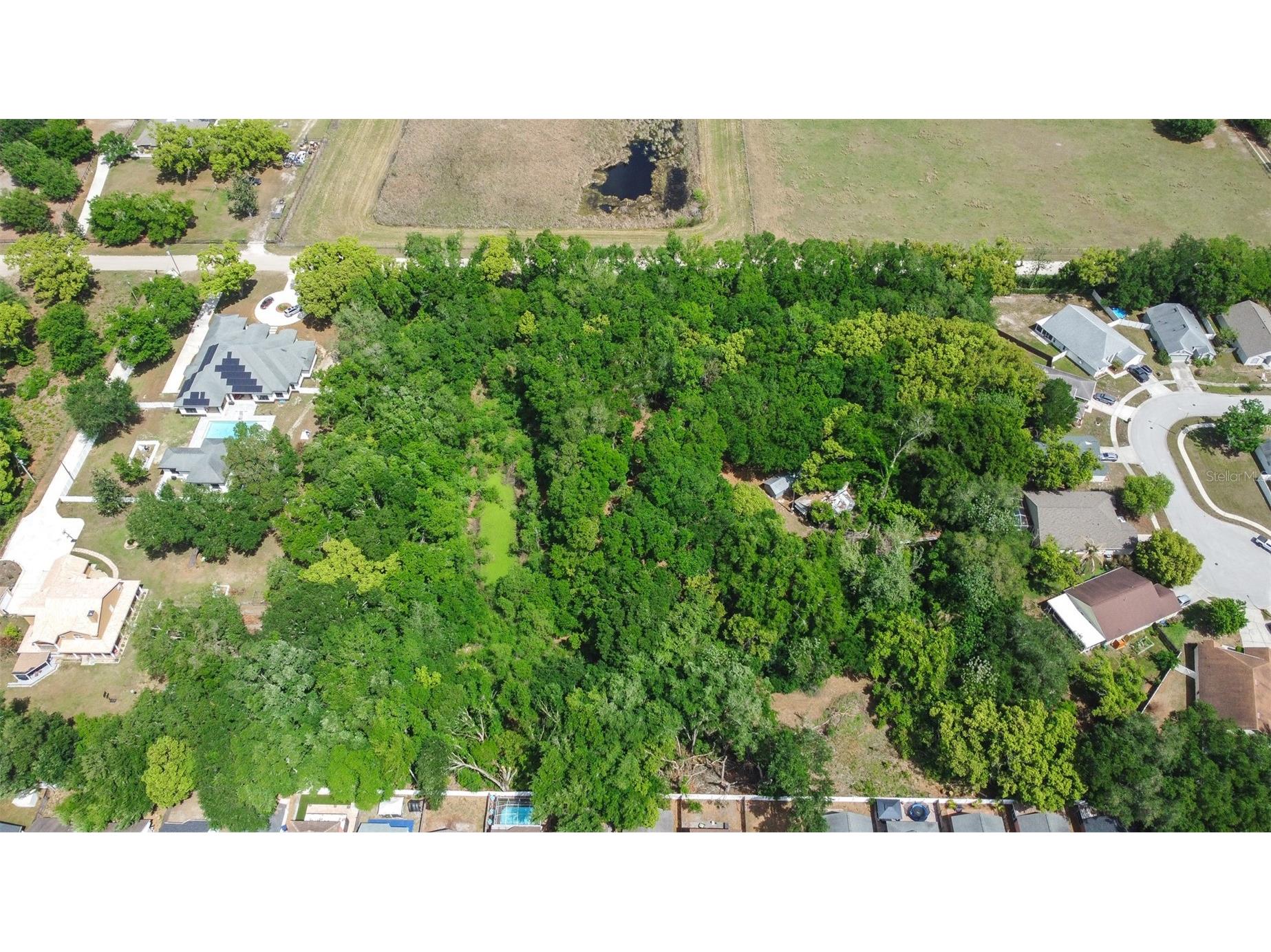 28616 Tupper Road Wesley Chapel FL 33545 TB8493943 image27