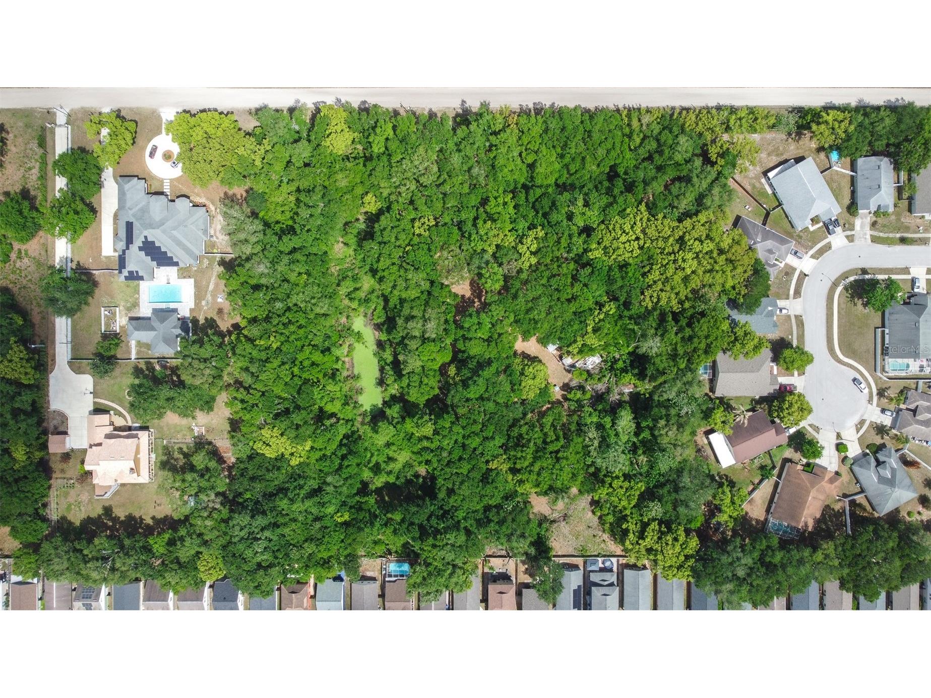 28616 Tupper Road Wesley Chapel FL 33545 TB8493943 image28