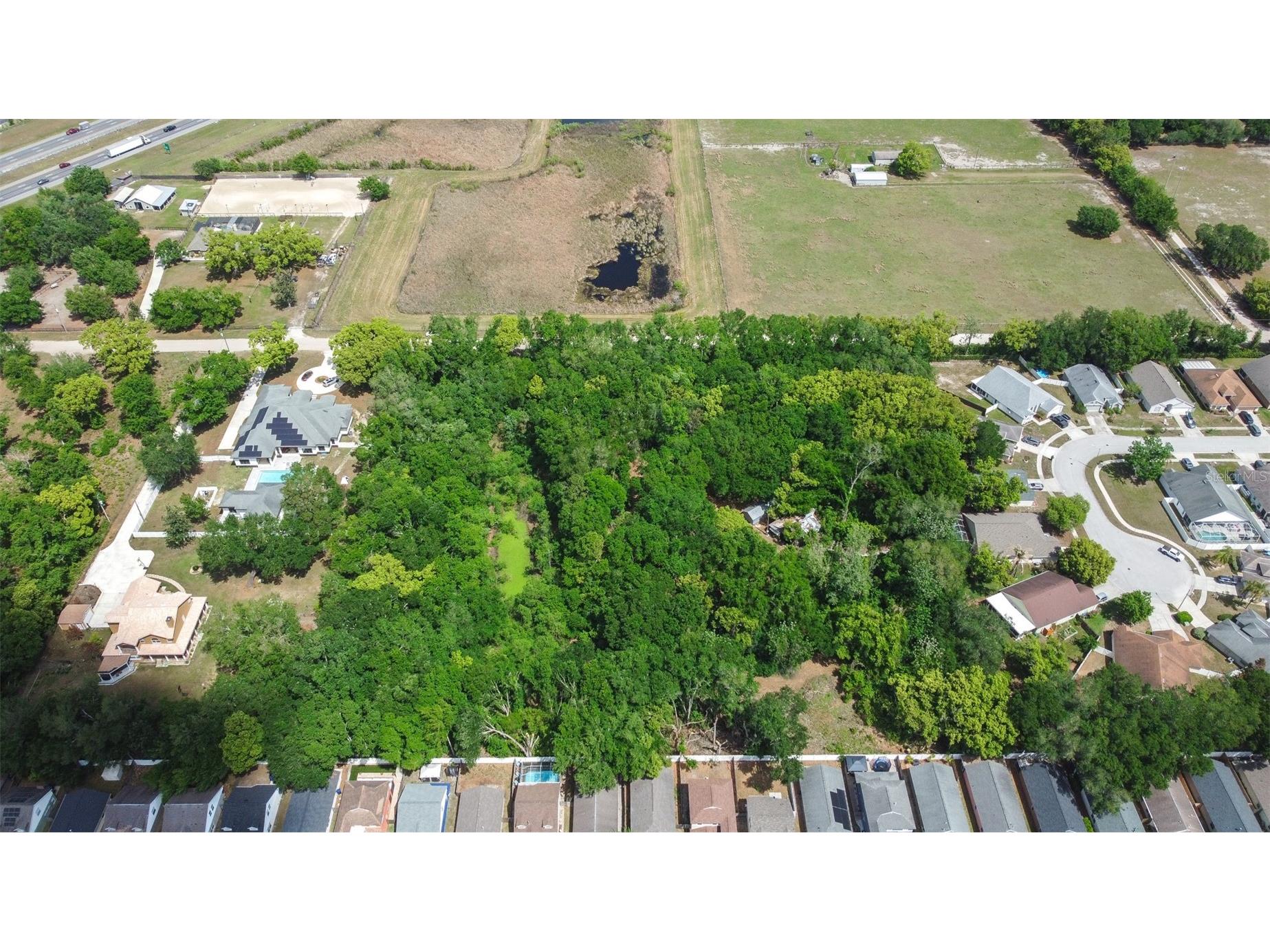 28616 Tupper Road Wesley Chapel FL 33545 TB8493943 image29