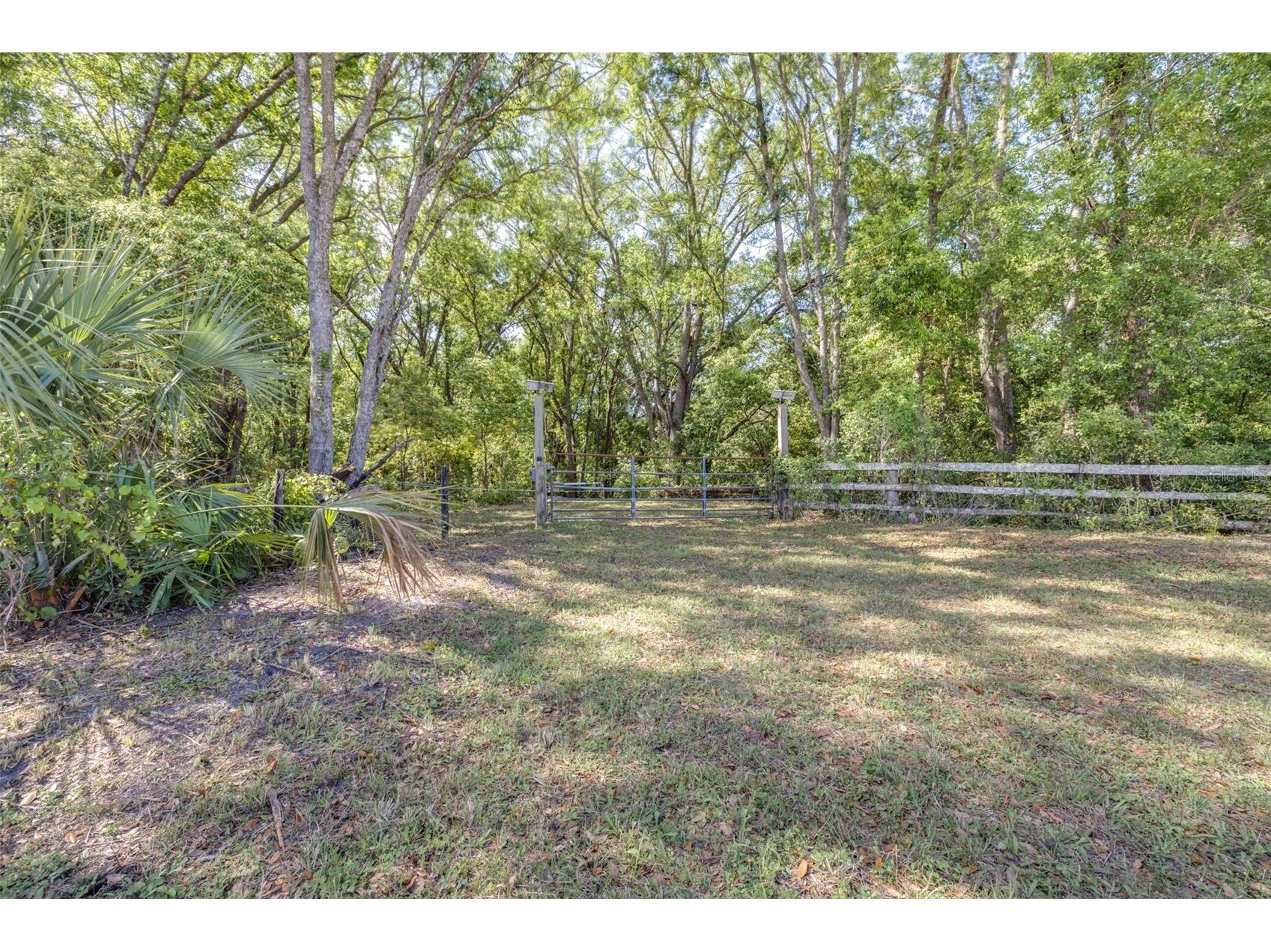 28616 Tupper Road Wesley Chapel FL 33545 TB8493943 image3