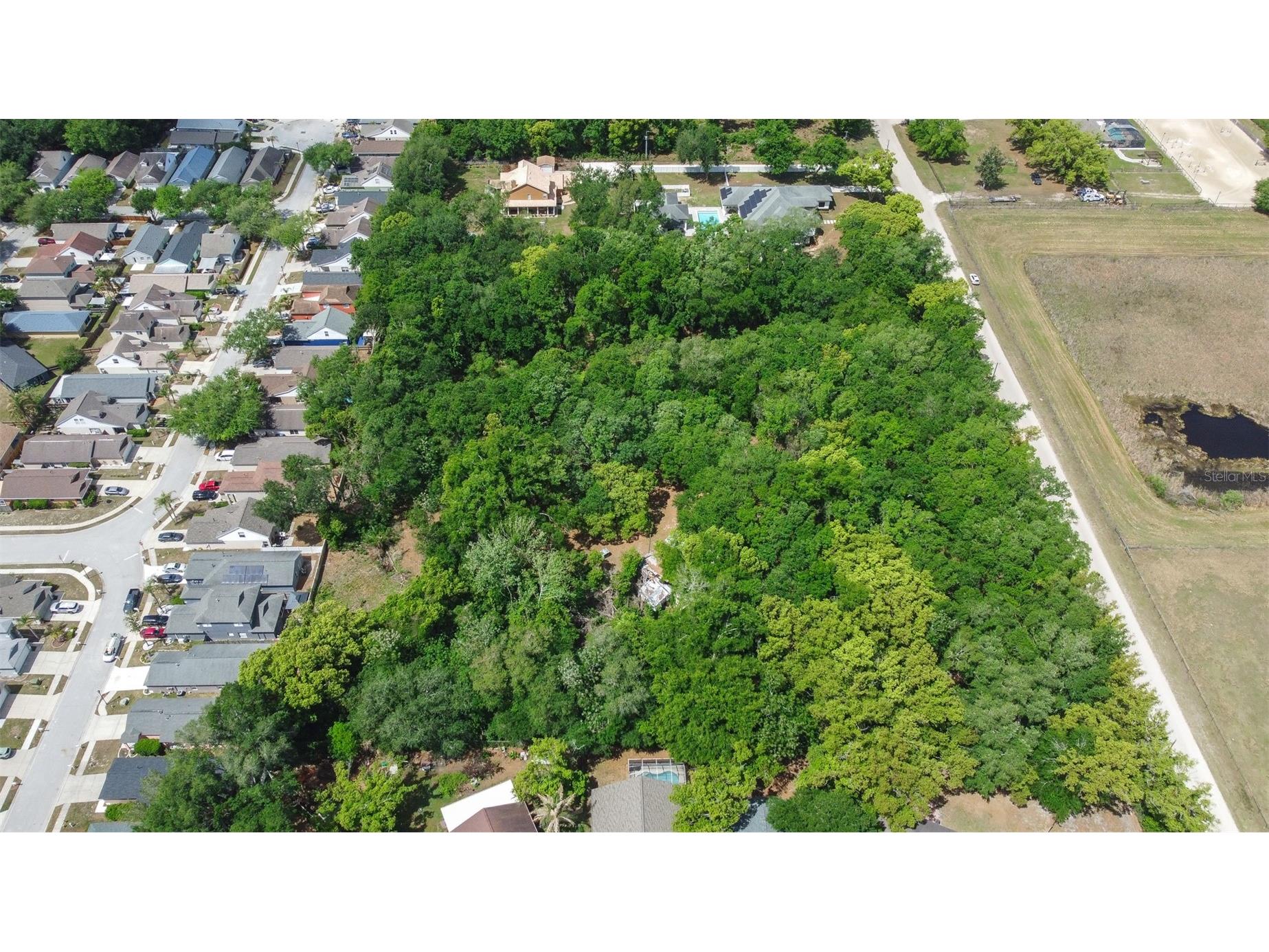 28616 Tupper Road Wesley Chapel FL 33545 TB8493943 image30