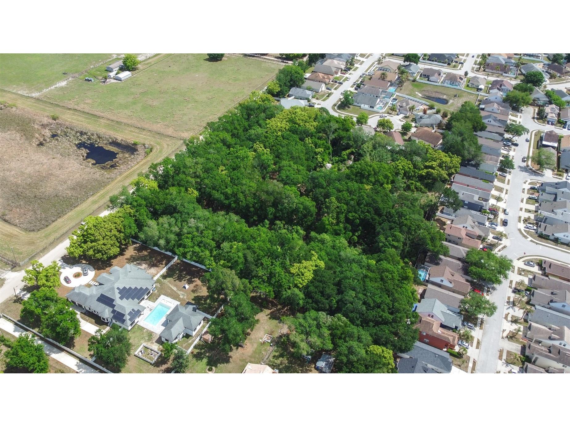 28616 Tupper Road Wesley Chapel FL 33545 TB8493943 image35