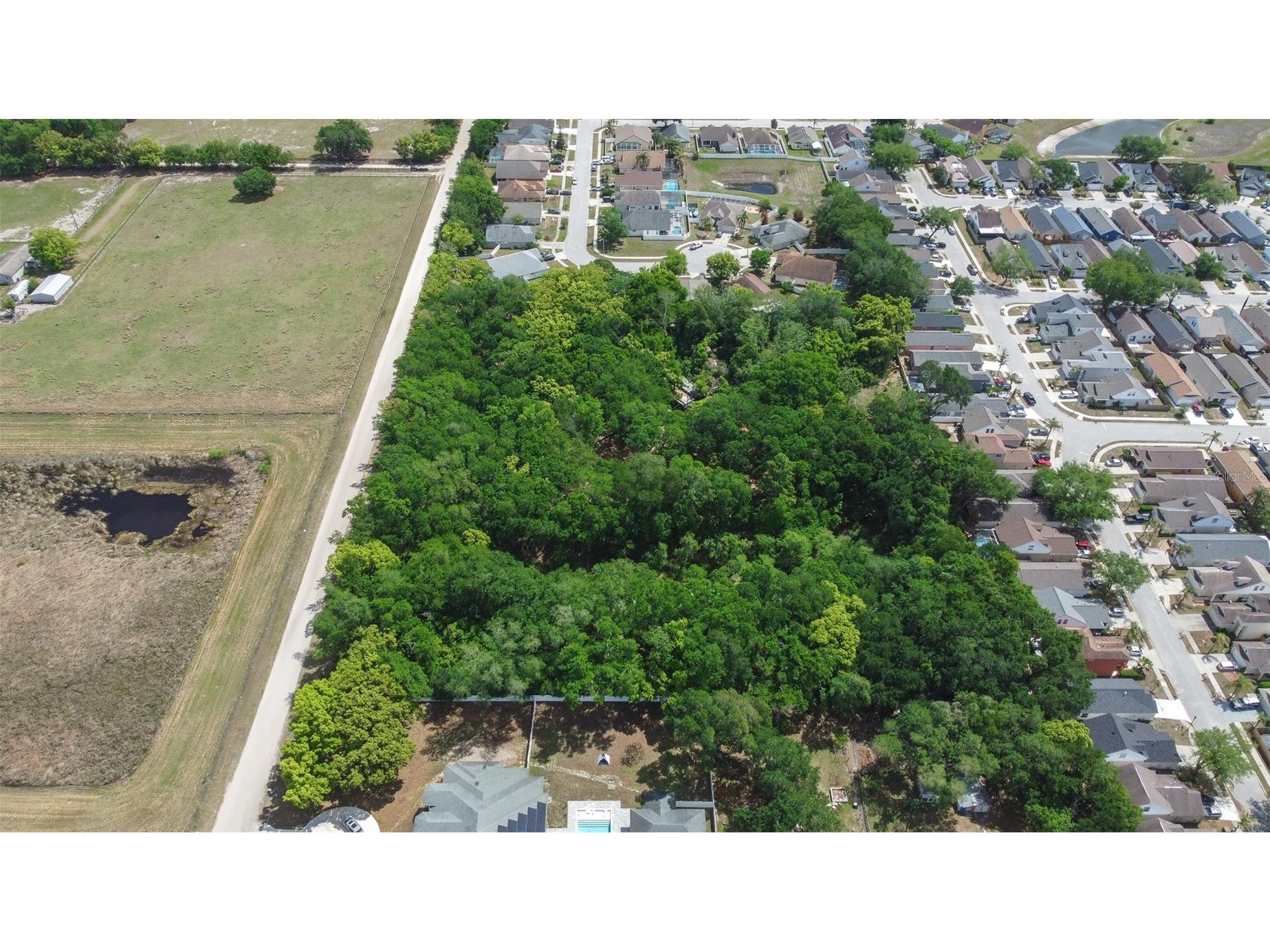 28616 Tupper Road Wesley Chapel FL 33545 TB8493943 image36