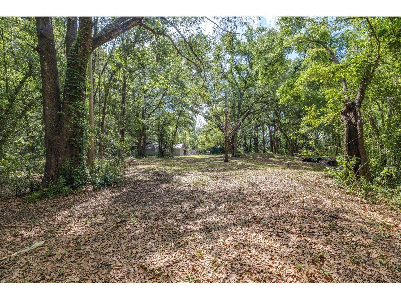 28616 Tupper Road Wesley Chapel FL 33545 TB8493943 image4