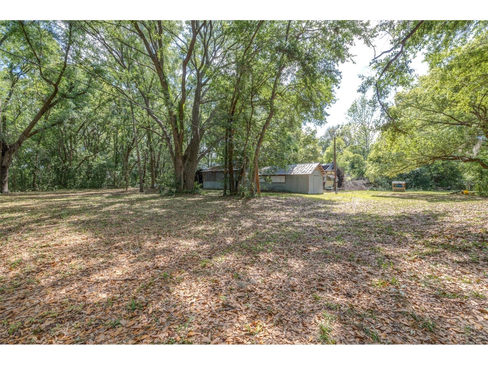 28616 Tupper Road Wesley Chapel FL 33545 TB8493943 image5
