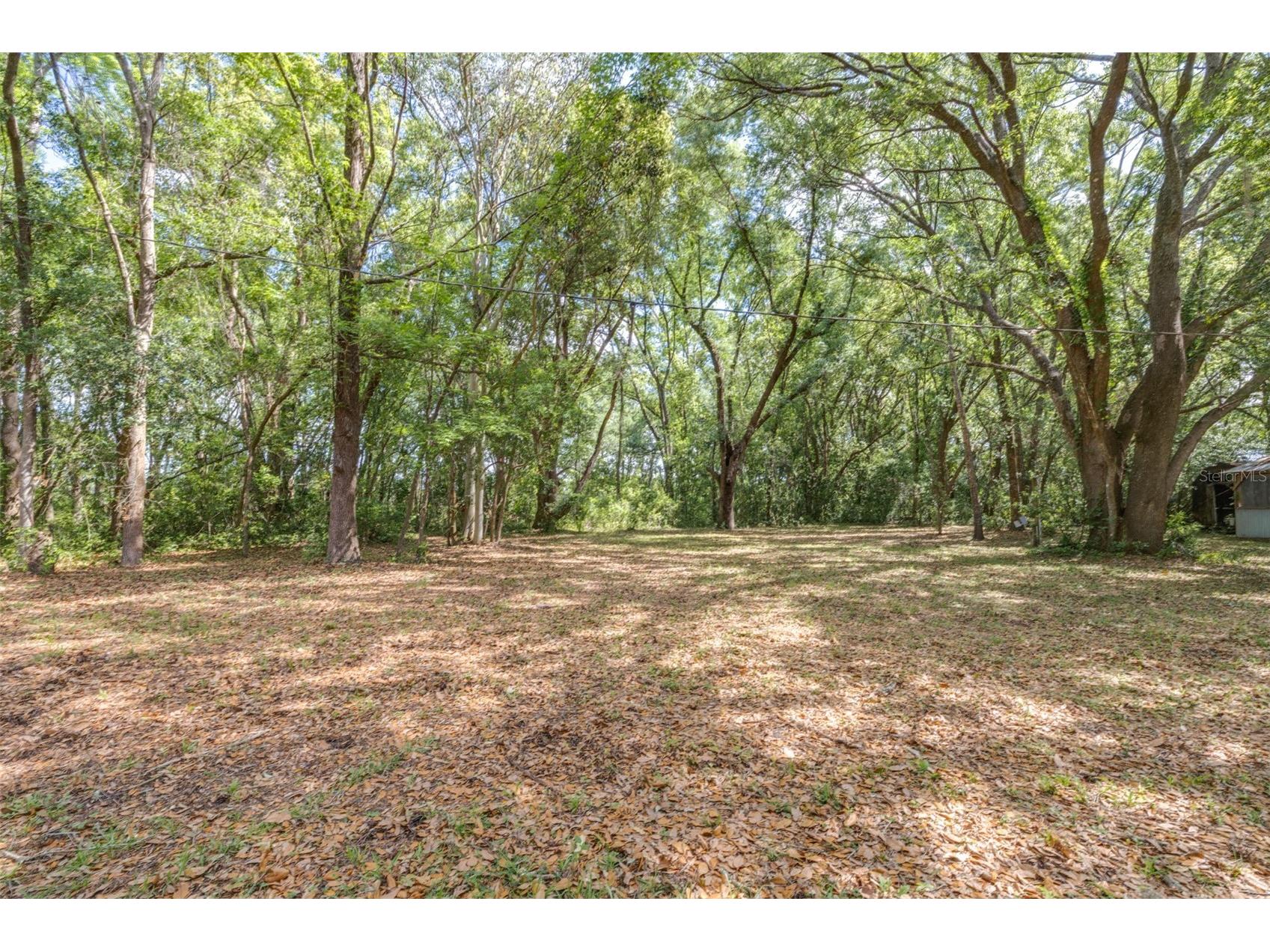 28616 Tupper Road Wesley Chapel FL 33545 TB8493943 image6