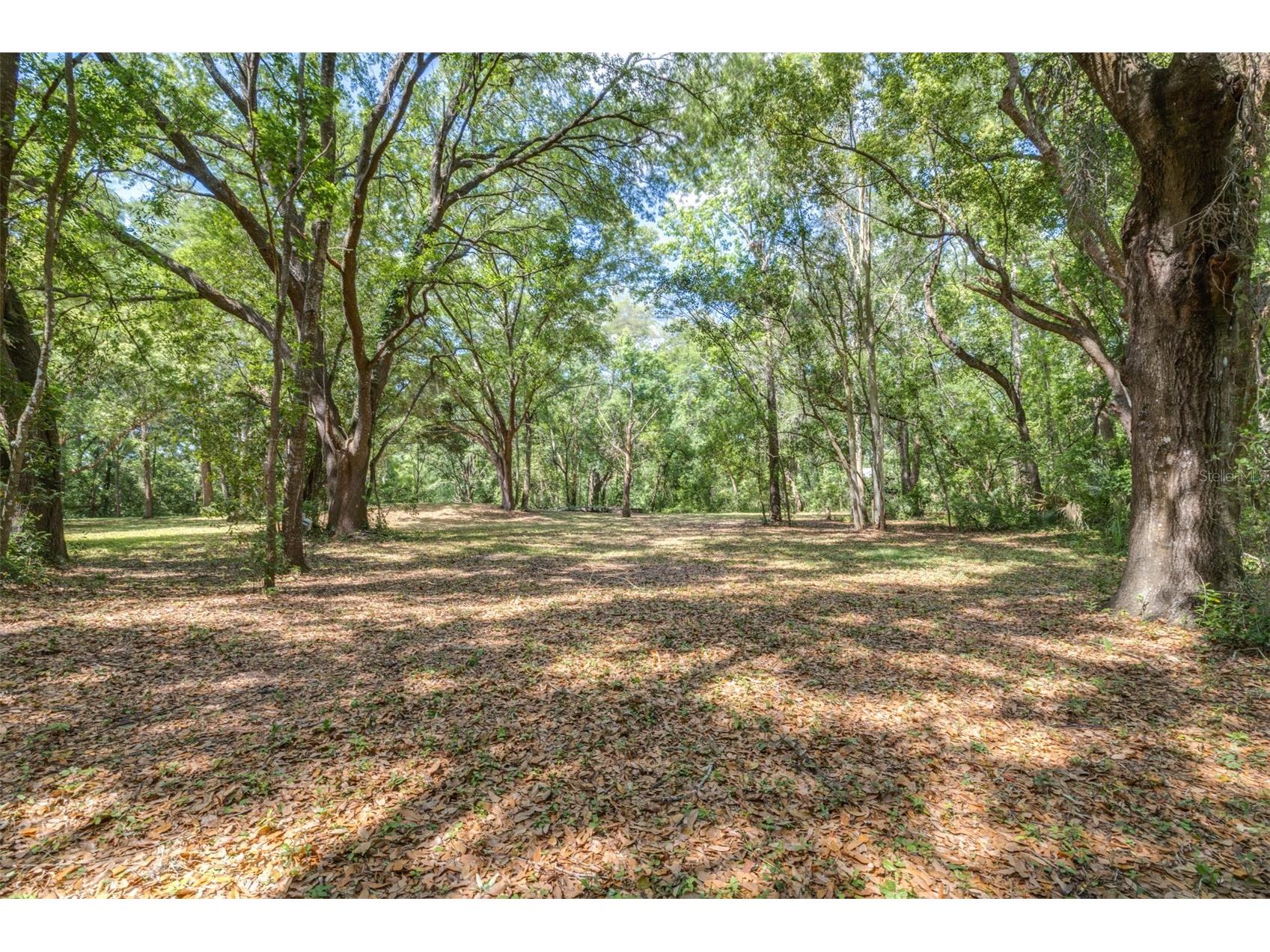 28616 Tupper Road Wesley Chapel FL 33545 TB8493943 image7