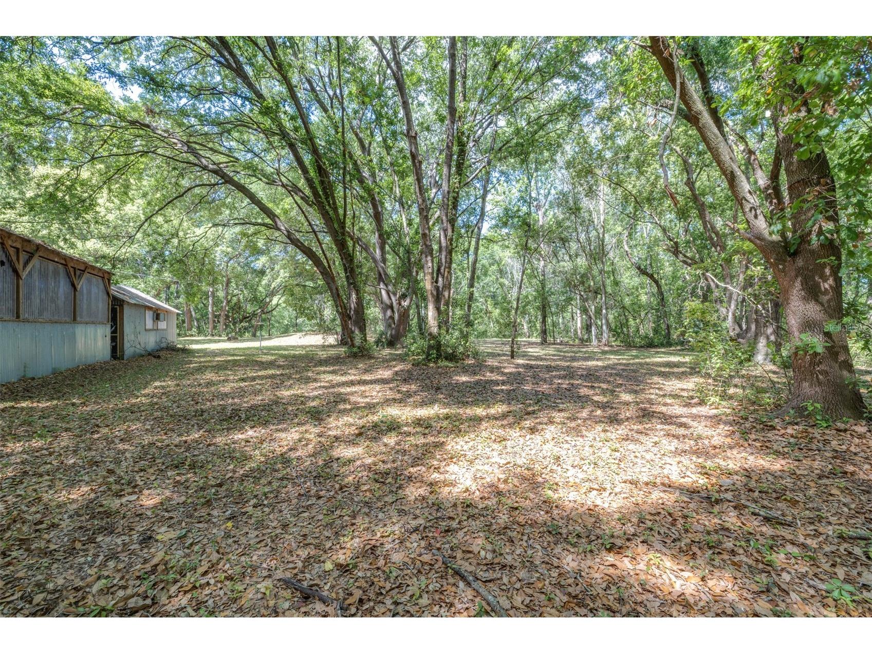 28616 Tupper Road Wesley Chapel FL 33545 TB8493943 image8