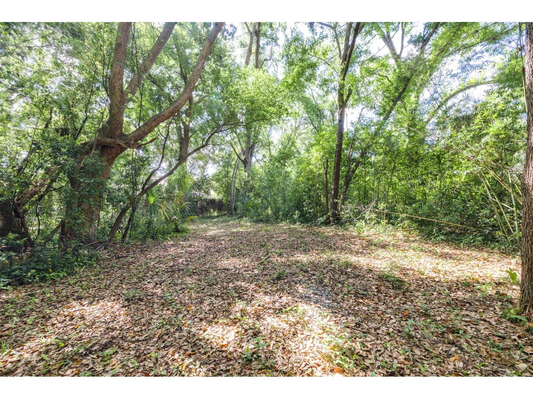 28616 Tupper Road Wesley Chapel FL 33545 TB8493943 image9