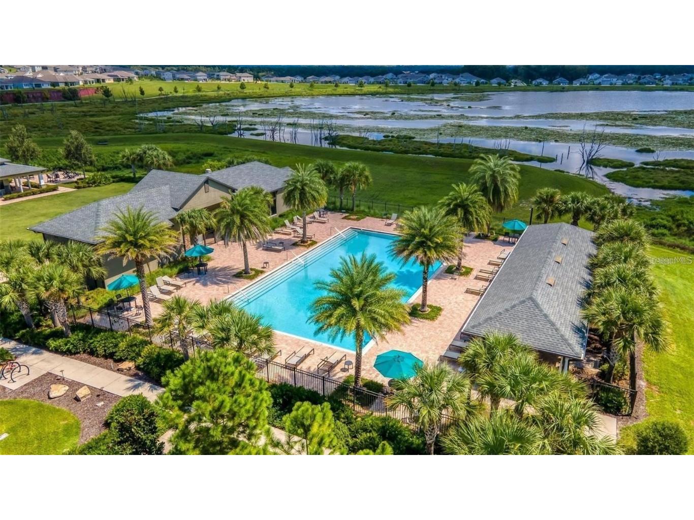 2862 American Elm Cove Ocoee FL 34761 O6357267 image48