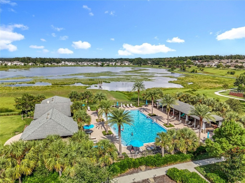 2862 American Elm Cove Ocoee FL 34761 O6357267 image49