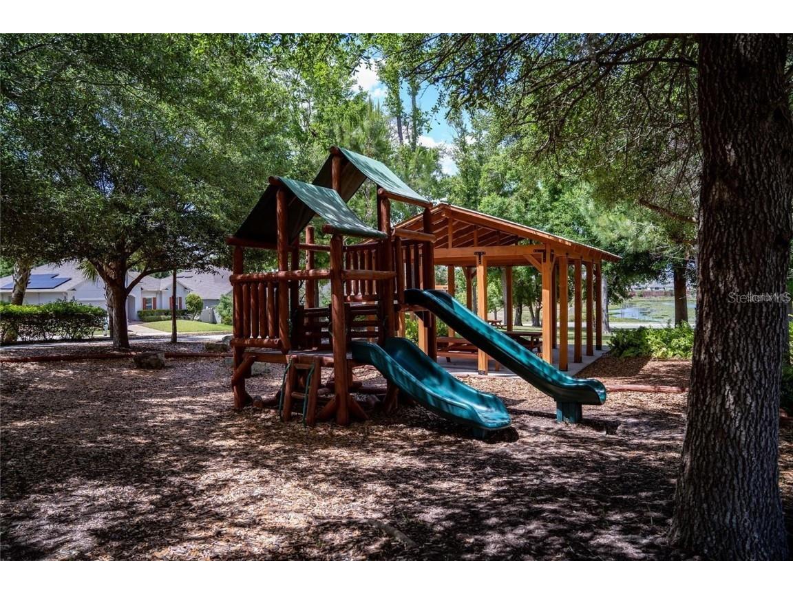 2862 American Elm Cove Ocoee FL 34761 O6357267 image59