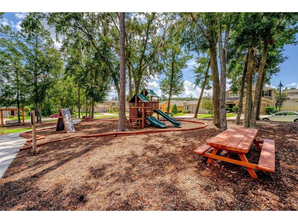 2862 American Elm Cove Ocoee FL 34761 O6357267 image61