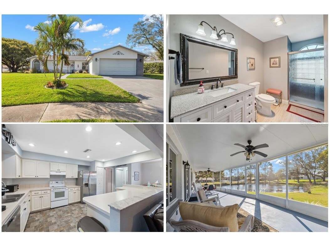 2862 Lomond Drive Palm Harbor FL 34684 W7872414 image1