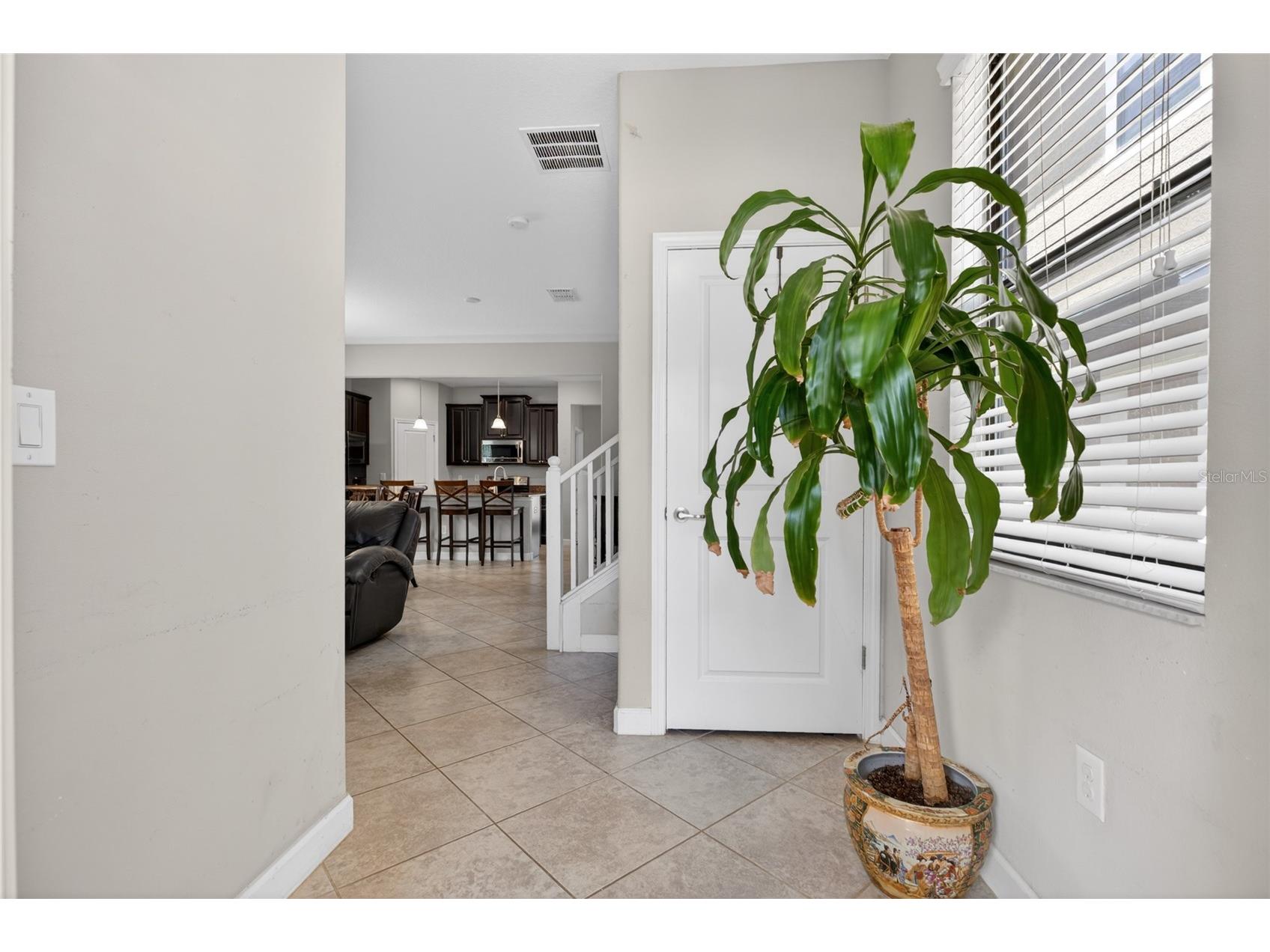 28622 Tranquil Lake Circle Wesley Chapel FL 33543 TB8498184 image10