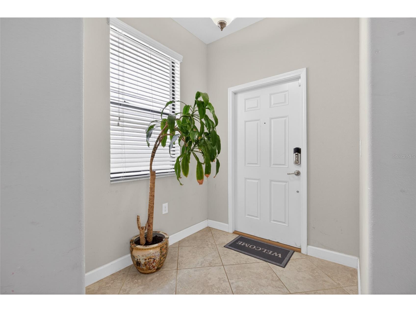 28622 Tranquil Lake Circle Wesley Chapel FL 33543 TB8498184 image11