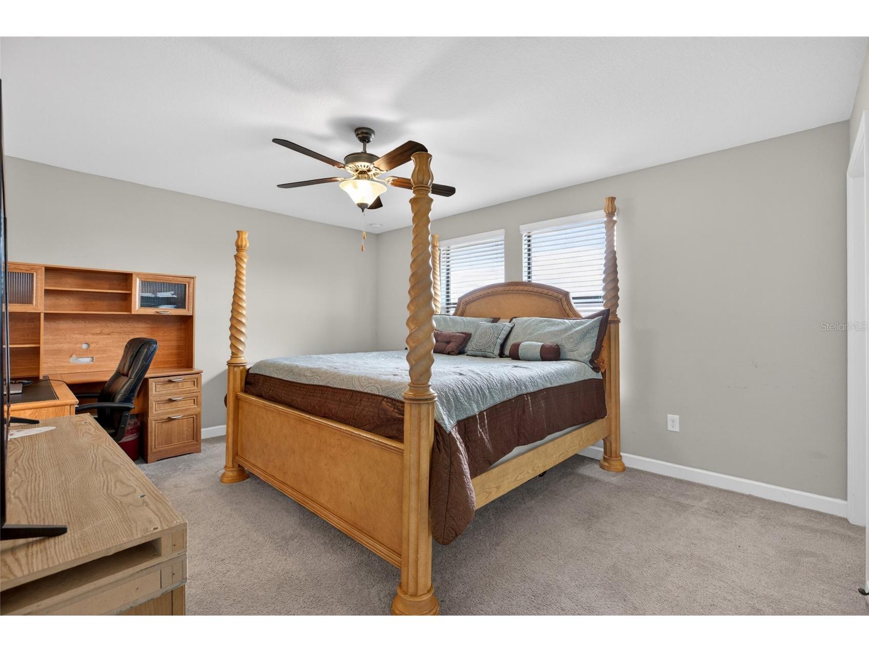 28622 Tranquil Lake Circle Wesley Chapel FL 33543 TB8498184 image31