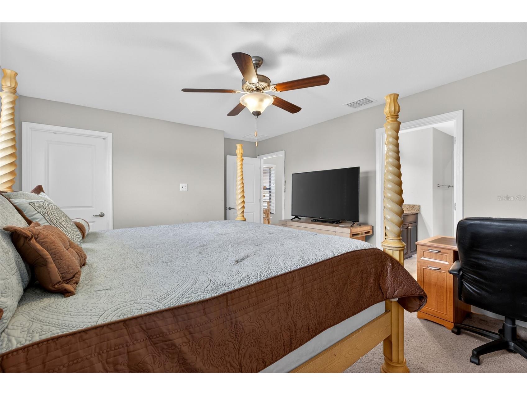 28622 Tranquil Lake Circle Wesley Chapel FL 33543 TB8498184 image32