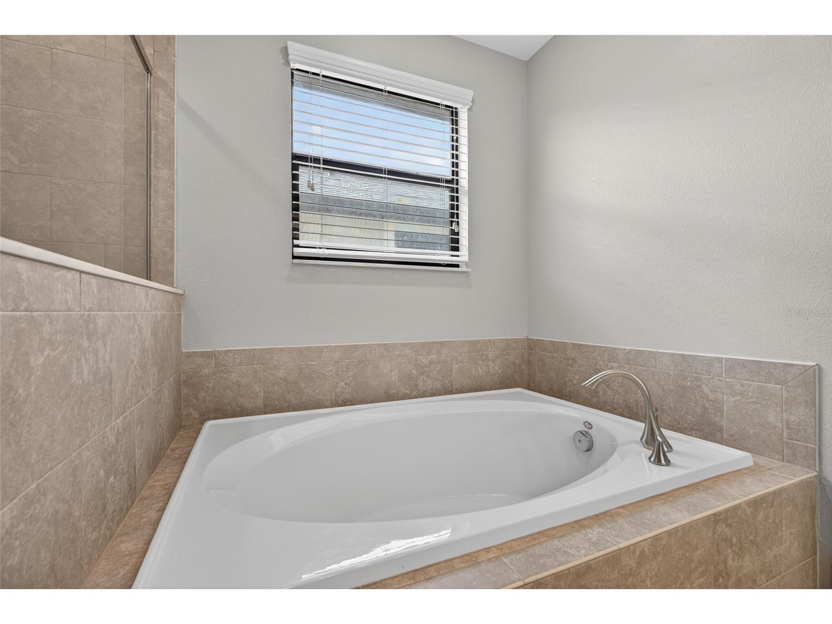 28622 Tranquil Lake Circle Wesley Chapel FL 33543 TB8498184 image34