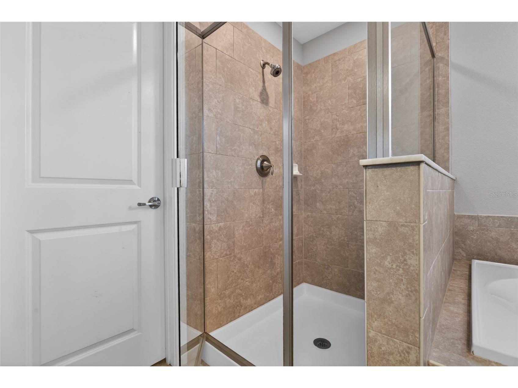 28622 Tranquil Lake Circle Wesley Chapel FL 33543 TB8498184 image35