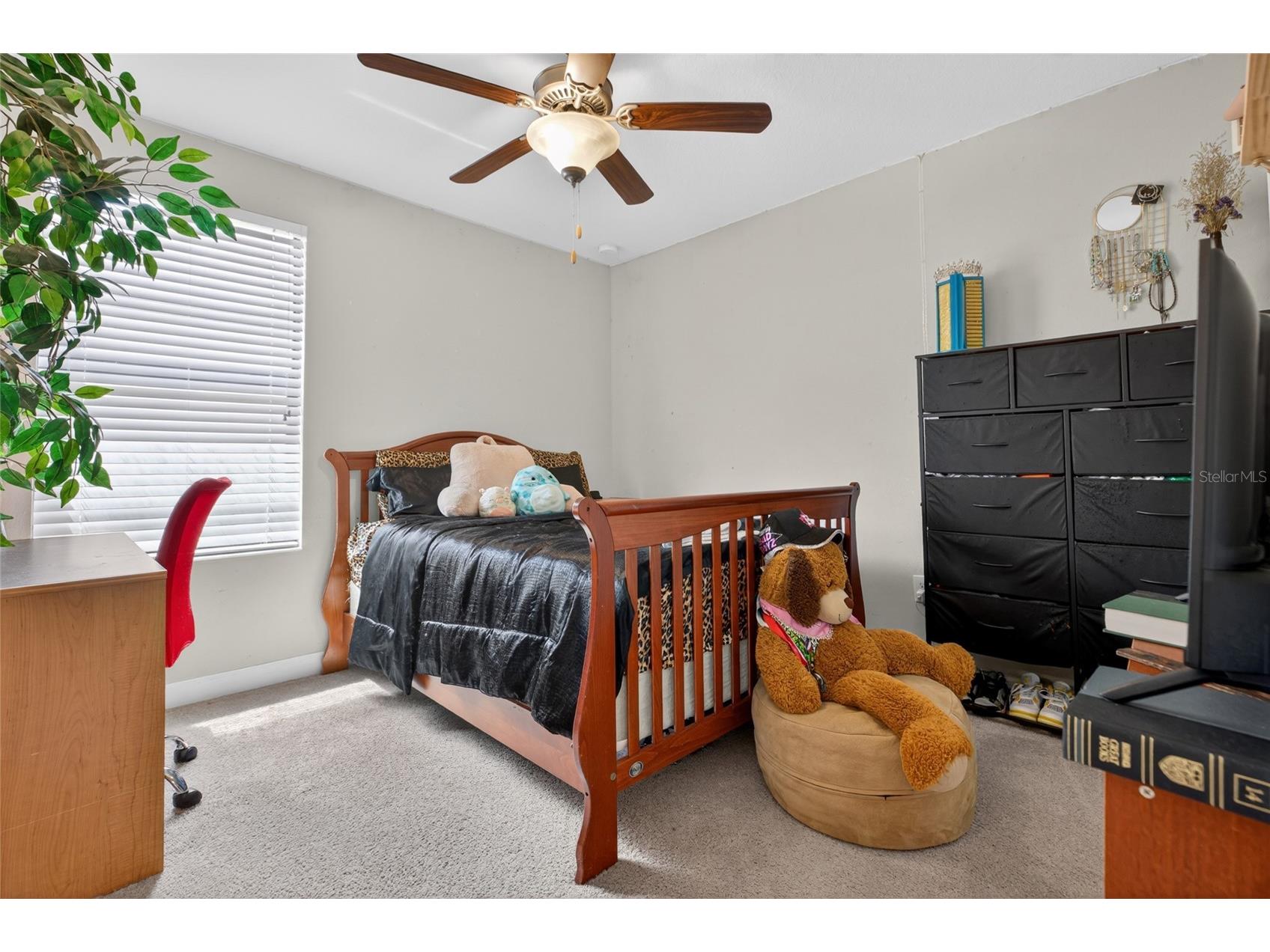 28622 Tranquil Lake Circle Wesley Chapel FL 33543 TB8498184 image37