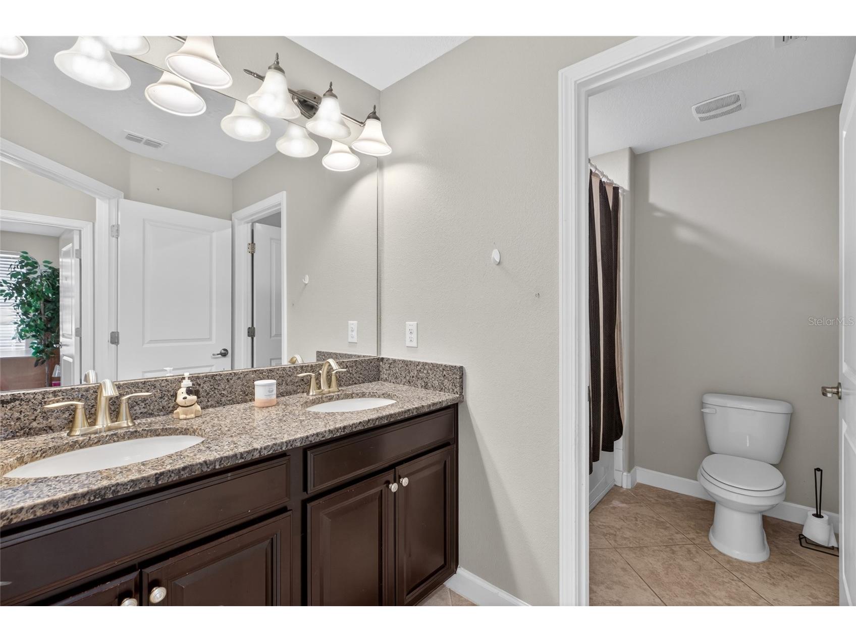 28622 Tranquil Lake Circle Wesley Chapel FL 33543 TB8498184 image39