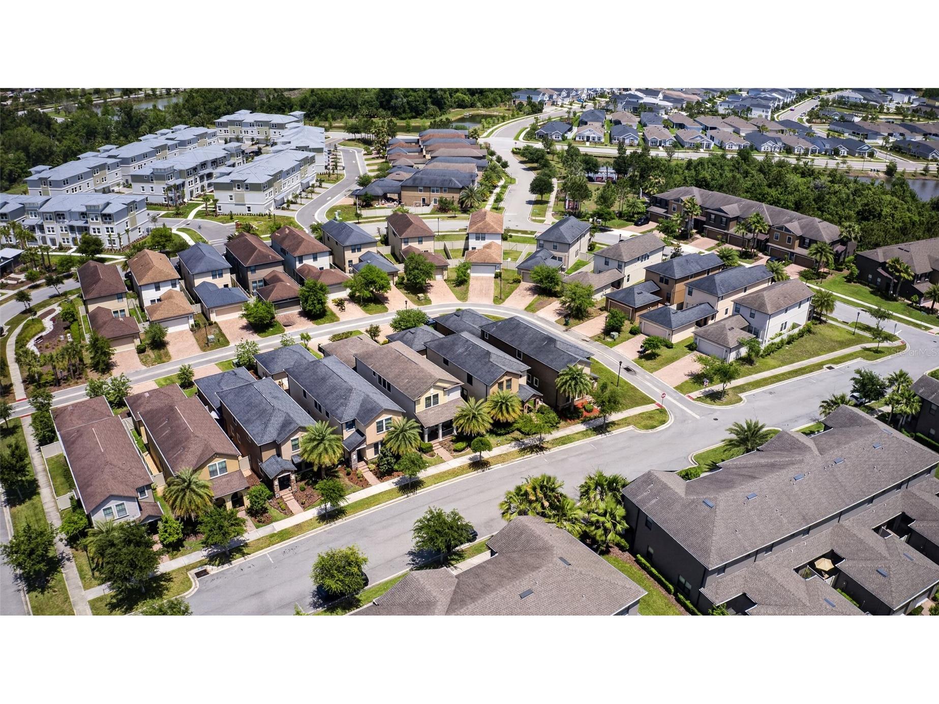 28622 Tranquil Lake Circle Wesley Chapel FL 33543 TB8498184 image52