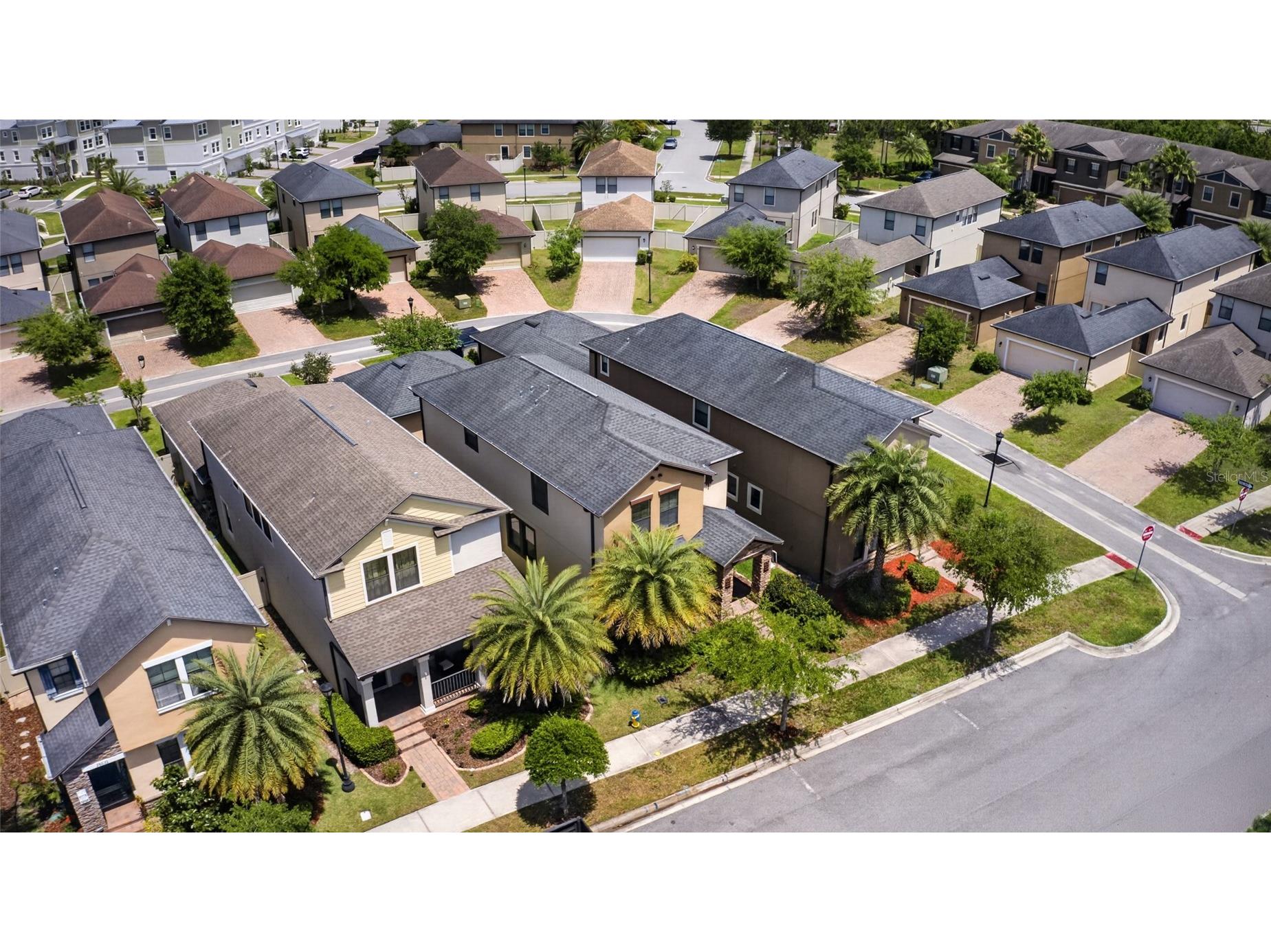 28622 Tranquil Lake Circle Wesley Chapel FL 33543 TB8498184 image53