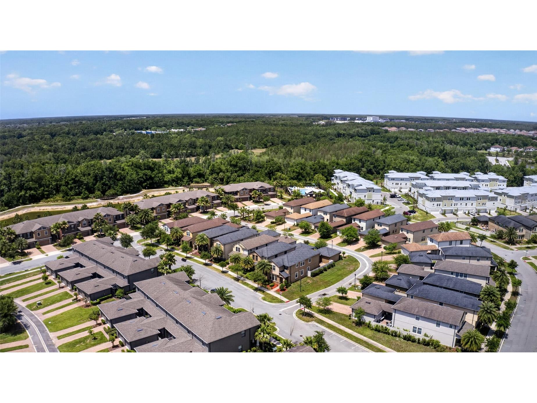 28622 Tranquil Lake Circle Wesley Chapel FL 33543 TB8498184 image56