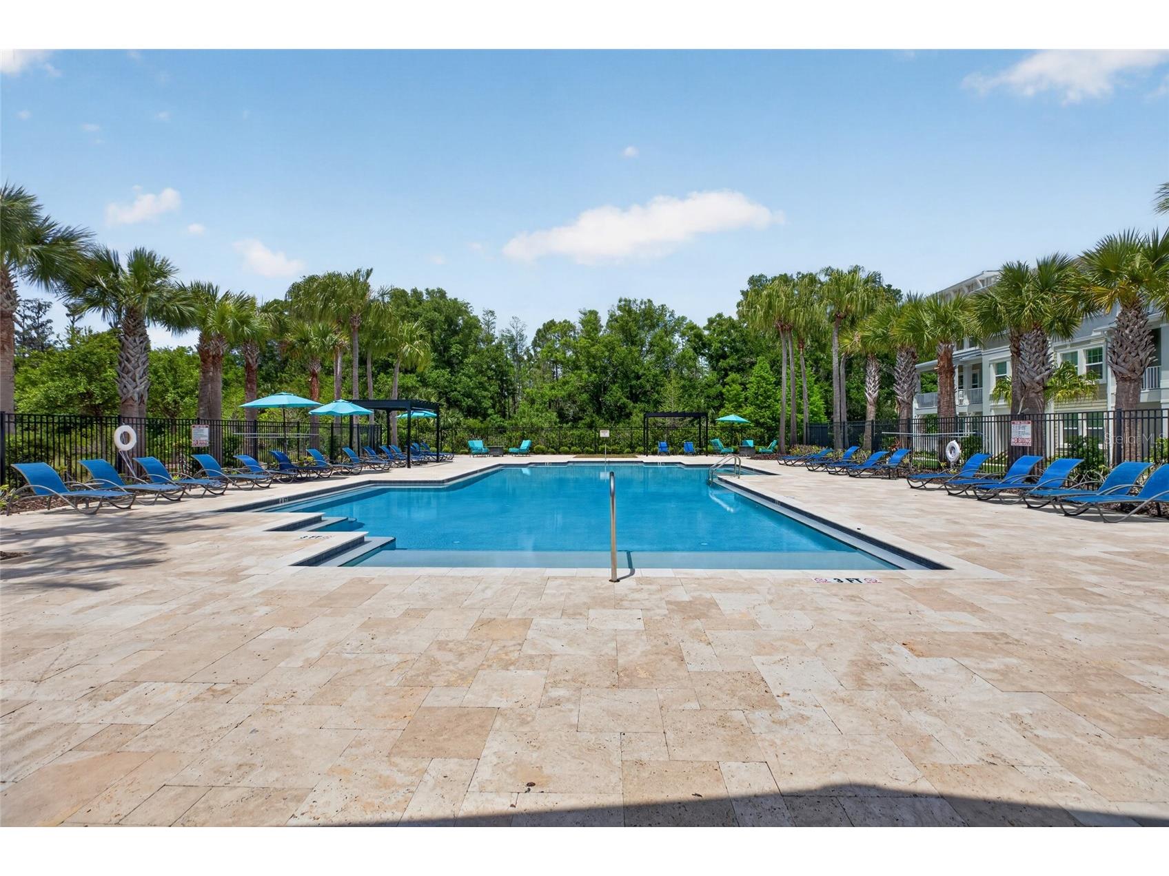 28622 Tranquil Lake Circle Wesley Chapel FL 33543 TB8498184 image59