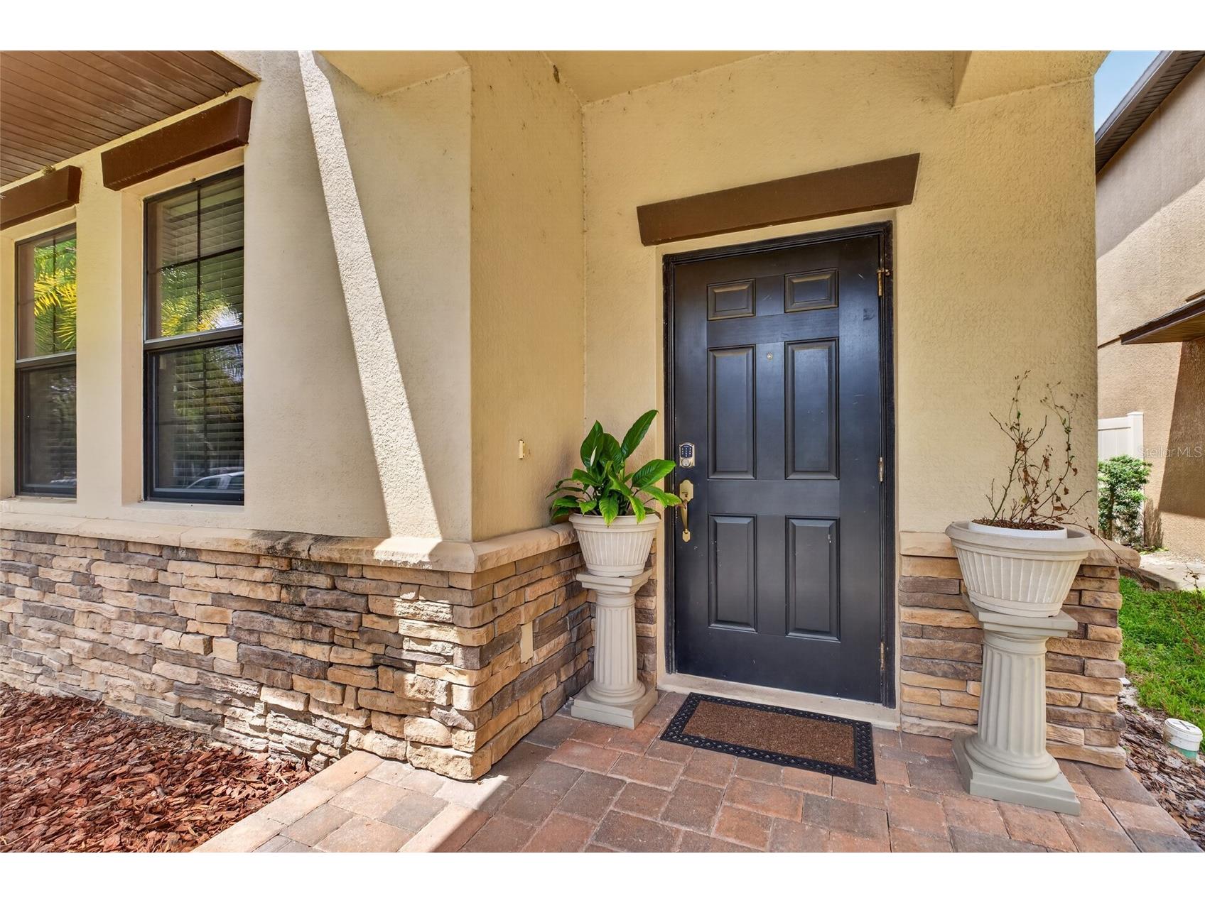 28622 Tranquil Lake Circle Wesley Chapel FL 33543 TB8498184 image8