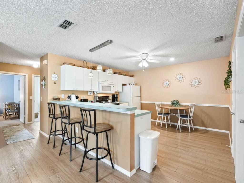 2863 Barboza Drive The Villages FL 32162 OM705740 image10