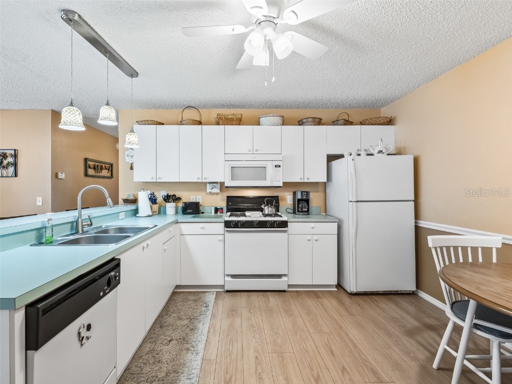 2863 Barboza Drive The Villages FL 32162 OM705740 image12