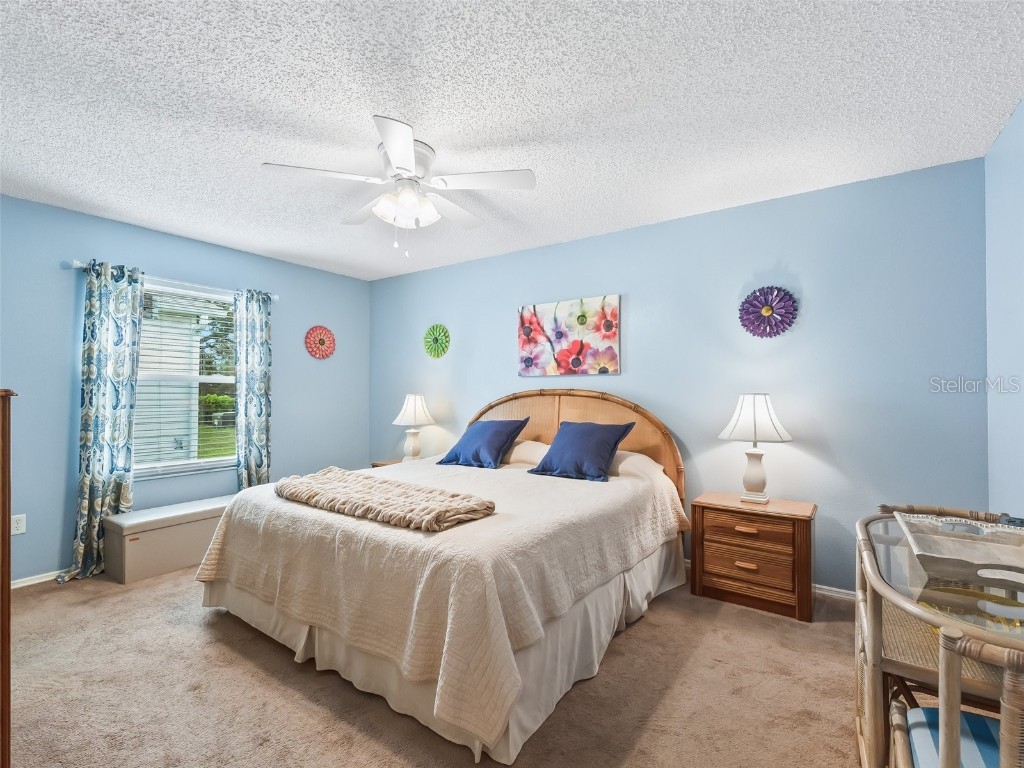 2863 Barboza Drive The Villages FL 32162 OM705740 image15